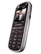 Best available price of Motorola WX288 in Guineabissau