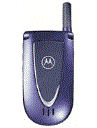 Best available price of Motorola V66i in Guineabissau